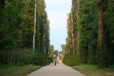 People walking on footpath amidst trees against sky