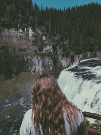 Rear view of woman standing by river in forest during winter
