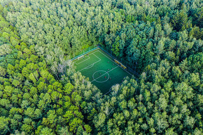 Sport in forest
