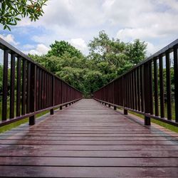 Empty footbridge along plants and trees against sky