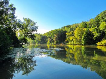 Scenic view of lake by trees against clear sky