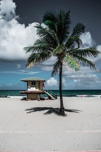 Palm trees on beach against sky