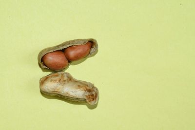 High angle view of eggs on table