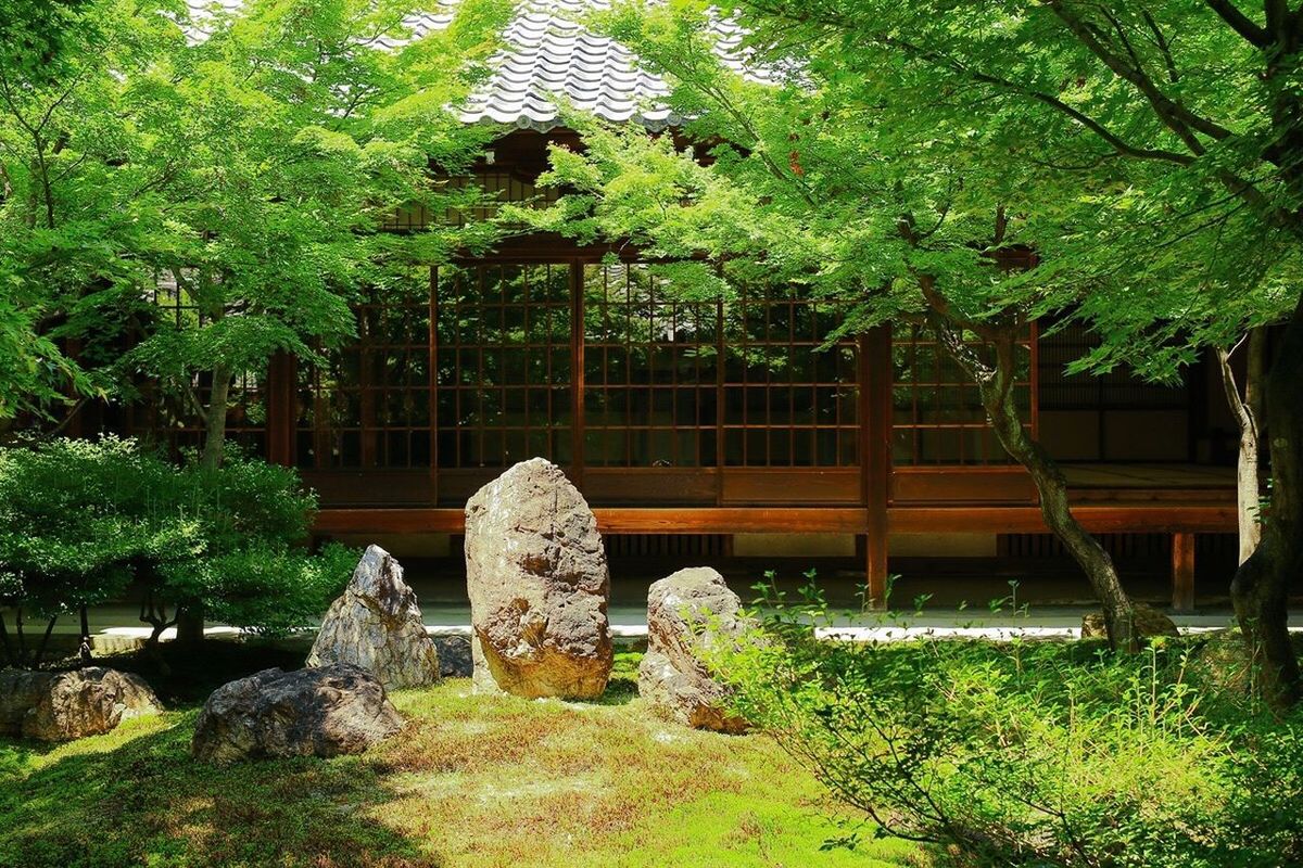 tree, built structure, architecture, plant, building exterior, growth, green color, water, bridge - man made structure, nature, branch, day, connection, outdoors, house, arch, rock - object, tranquility, no people, park - man made space