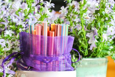 Colored pencils in container against plants