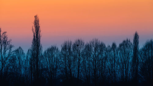 Silhouette plants against romantic sky at sunset