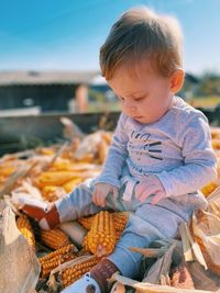 Cute boy sitting on corns outdoors