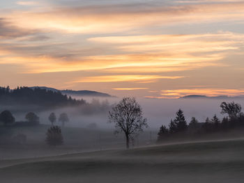 Silhouette trees on landscape against sky during sunset