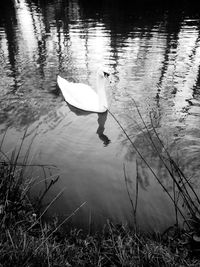 High angle view of person on lake