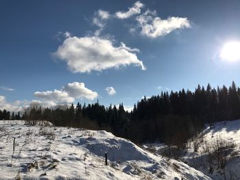 Trees against sky during winter