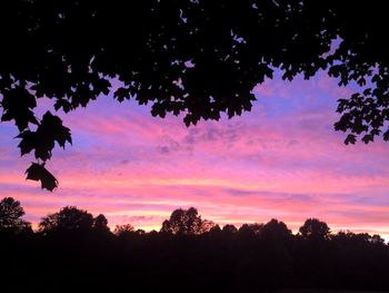 Low angle view of silhouette trees against sky at sunset