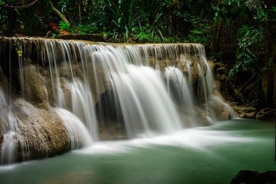 Scenic view of waterfall in forest