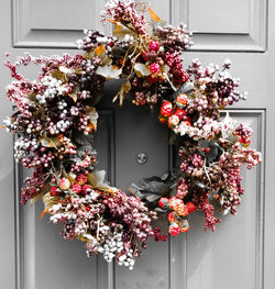 Close-up of flowering plant against white door