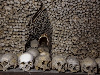 Human skulls against patterned wall