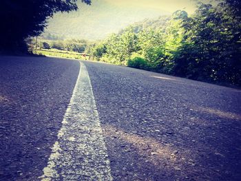 Empty road along trees