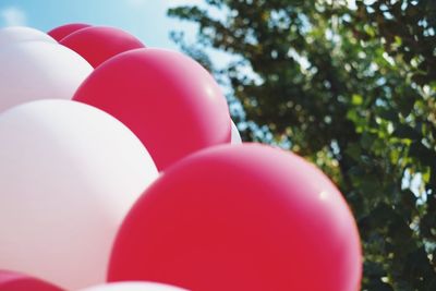 Close-up of red and white balloons against tree on sunny day