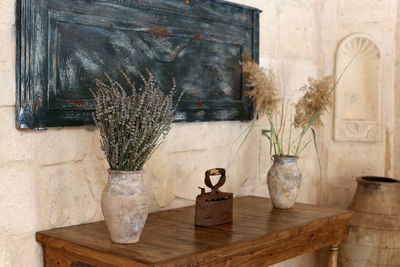 Potted plants on table at home