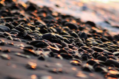 Full frame shot of pebbles on beach