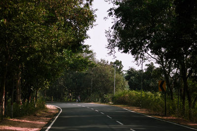 Empty road along trees