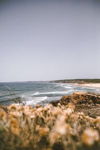 Scenic view of beach against clear sky