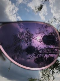 Close-up of tree against sky