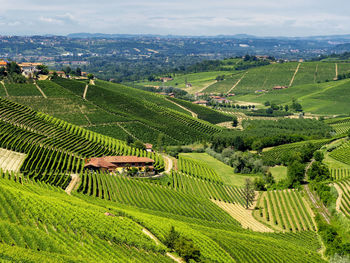 High angle view of agricultural field against sky