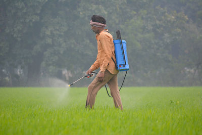 Indian farmer spraying fertilizer in his wheat field