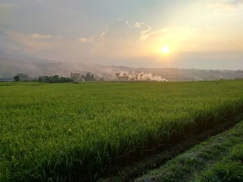 Scenic view of field against sky during sunset