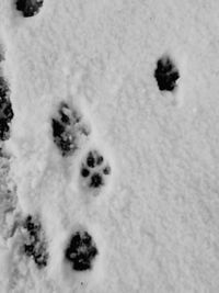 Close-up high angle view of snow