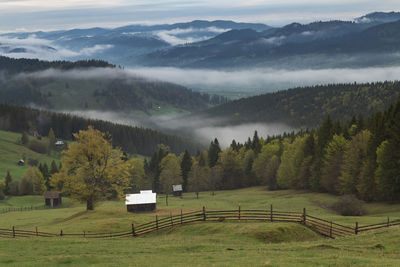 Scenic view of mountains against sky. spring mountain view of the foggy forest, in bucovina