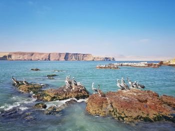 Scenic view of sea against clear blue sky