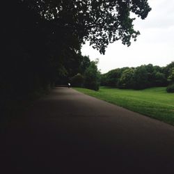 Road passing through forest