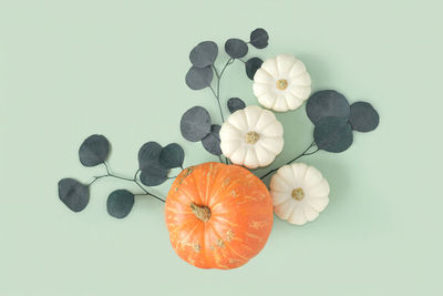 Pumpkins on green. flat lay, top view, copy space. nordicthanksgiving  modern invitation mock up