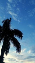 Low angle view of palm tree against blue sky