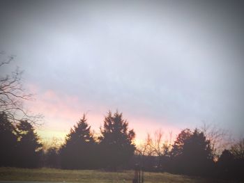 Trees on field against sky at sunset