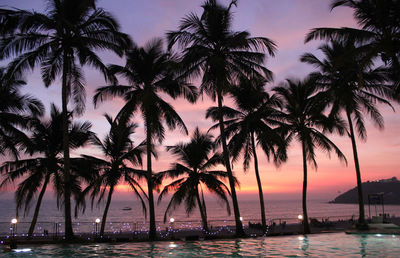 Silhouette of palm trees at beach during sunset