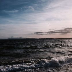 Bird flying over sea against sky