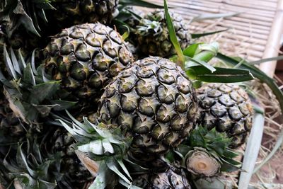 Close-up of fruits