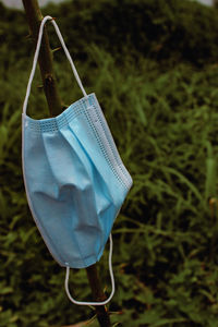 Close-up of clothes hanging on plant in field