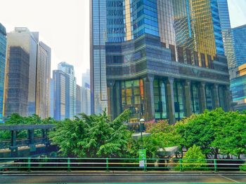 Trees and modern buildings in city