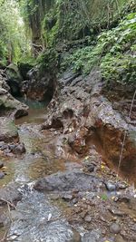 River flowing through rocks in forest