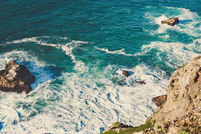 High angle view of horse in sea