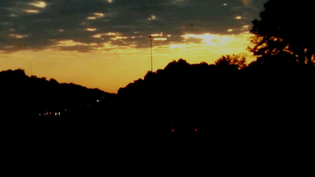 SILHOUETTE OF TREES AT SUNSET