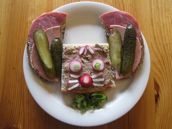 Elevated view of sandwich representing mouse