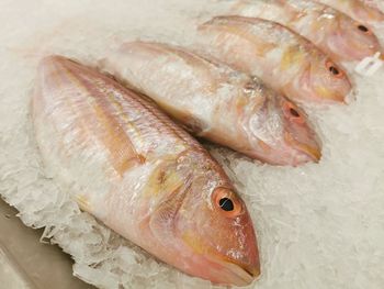 Close-up of fish for sale in market