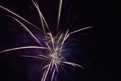 An explosion of bright fireworks on a pure black sky on the fourth of july