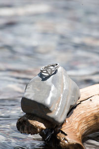 Close-up of a bird on wood