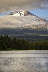 Scenic view of trillium lake by forest against mt hood