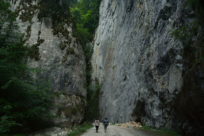 People walking on rocks in forest