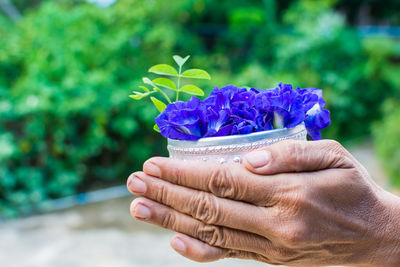 Close-up side view of hands holding flower pot